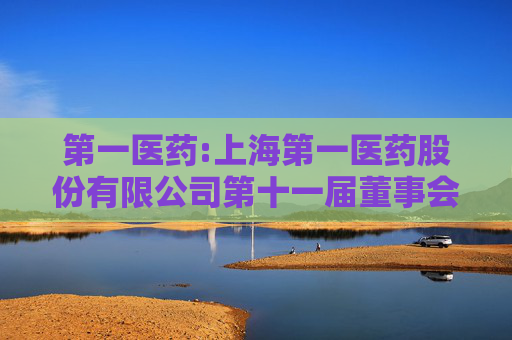 第一医药:上海第一医药股份有限公司第十一届董事会第一次（临时）会议决议公告