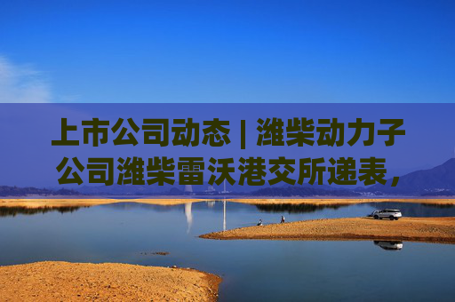 上市公司动态 | 潍柴动力子公司潍柴雷沃港交所递表，张小泉集团重整申请获受理，中国银行拟3亿欧元增资中银欧洲