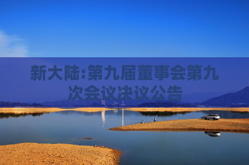 新大陆:第九届董事会第九次会议决议公告
