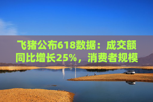 飞猪公布618数据：成交额同比增长25%，消费者规模增长约30%
