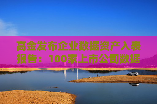 高金发布企业数据资产入表报告：100家上市公司数据资源入表，涉及入表金额21.64亿