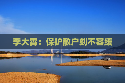 李大霄：保护散户刻不容缓