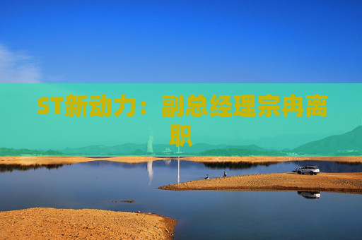 ST新动力：副总经理宗冉离职
