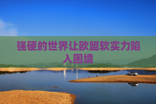 强硬的世界让欧盟软实力陷入困境
