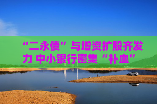 “二永债”与增资扩股齐发力 中小银行密集“补血”