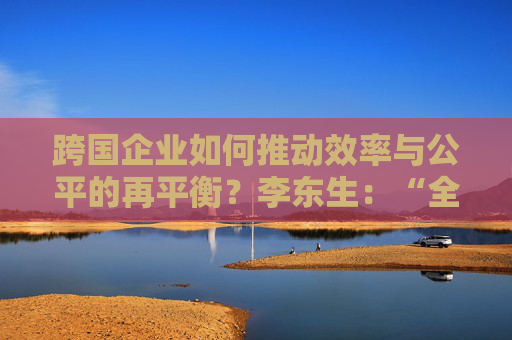 跨国企业如何推动效率与公平的再平衡？李东生：“全球化即本土化”也许是答案