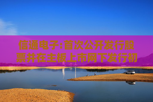 信通电子:首次公开发行股票并在主板上市网下发行初步配售结果公告