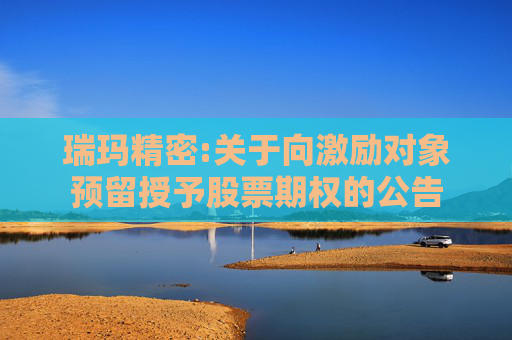 瑞玛精密:关于向激励对象预留授予股票期权的公告