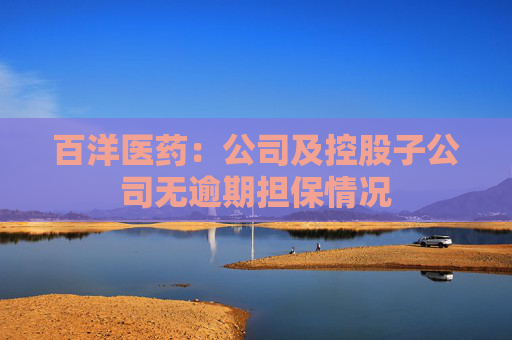 百洋医药：公司及控股子公司无逾期担保情况