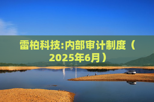 雷柏科技:内部审计制度（2025年6月）
