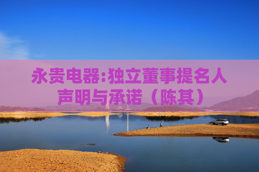 永贵电器:独立董事提名人声明与承诺（陈其）