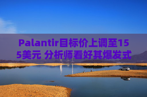 Palantir目标价上调至155美元 分析师看好其爆发式AI潜力