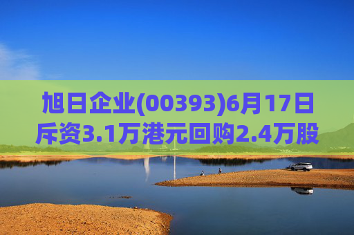 旭日企业(00393)6月17日斥资3.1万港元回购2.4万股