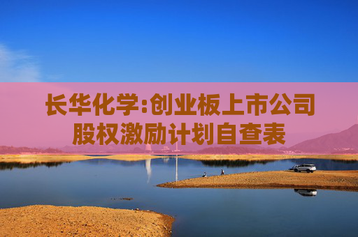 长华化学:创业板上市公司股权激励计划自查表