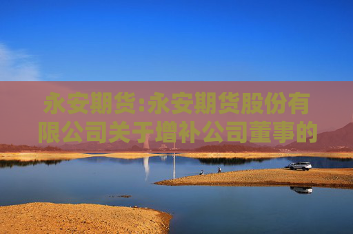 永安期货:永安期货股份有限公司关于增补公司董事的公告