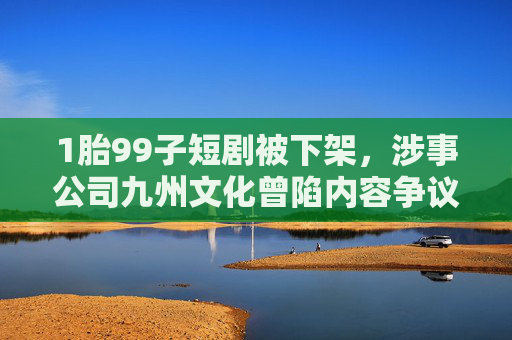 1胎99子短剧被下架，涉事公司九州文化曾陷内容争议