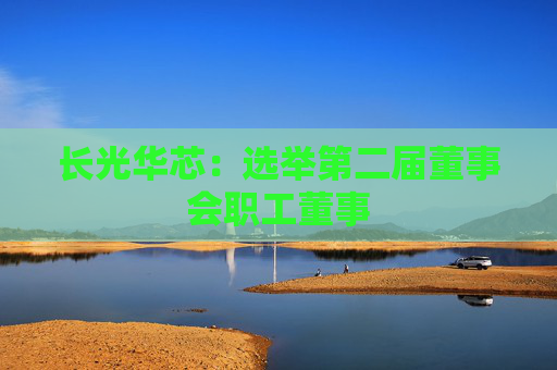 长光华芯：选举第二届董事会职工董事
