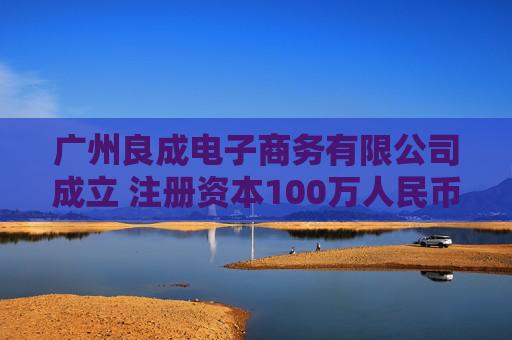 广州良成电子商务有限公司成立 注册资本100万人民币