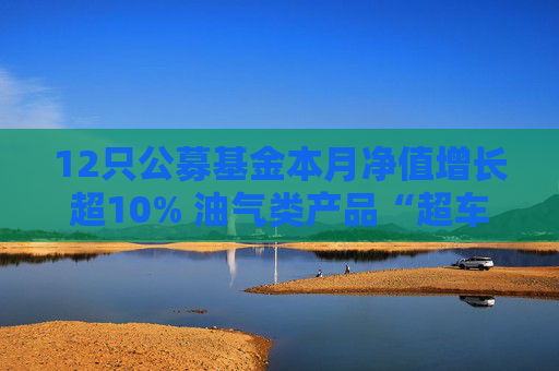 12只公募基金本月净值增长超10% 油气类产品“超车”创新药主题