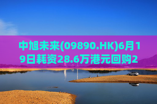 中旭未来(09890.HK)6月19日耗资28.6万港元回购2万股