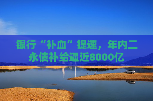银行“补血”提速，年内二永债补给逼近8000亿