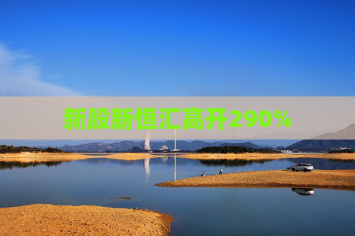 新股新恒汇高开290%