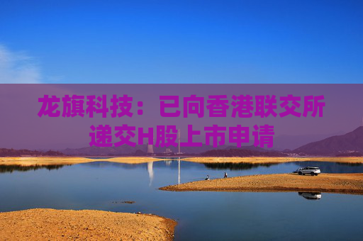 龙旗科技：已向香港联交所递交H股上市申请