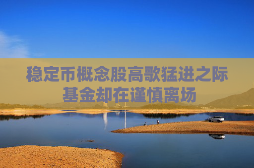 稳定币概念股高歌猛进之际 基金却在谨慎离场