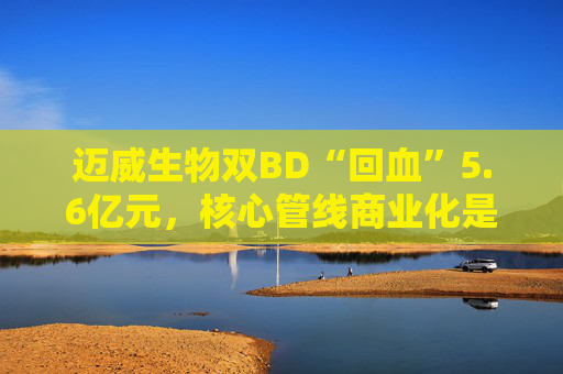 迈威生物双BD“回血”5.6亿元，核心管线商业化是胜负手