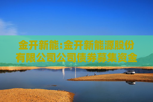 金开新能:金开新能源股份有限公司公司债券募集资金管理制度
