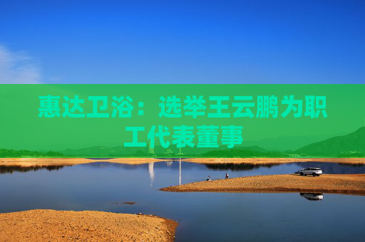 惠达卫浴：选举王云鹏为职工代表董事