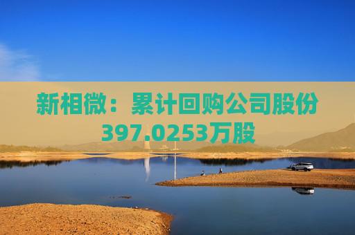 新相微：累计回购公司股份397.0253万股