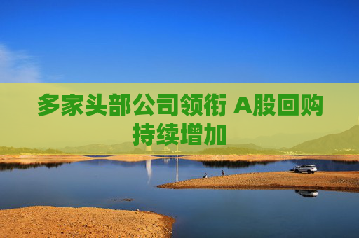 多家头部公司领衔 A股回购持续增加