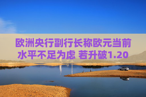 欧洲央行副行长称欧元当前水平不足为虑 若升破1.20美元就复杂多了