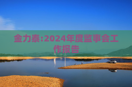 金力泰:2024年度监事会工作报告
