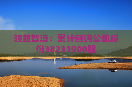 领益智造：累计回购公司股份38231900股