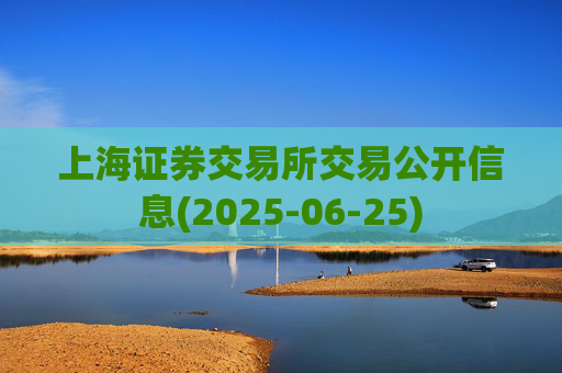 上海证券交易所交易公开信息(2025-06-25)