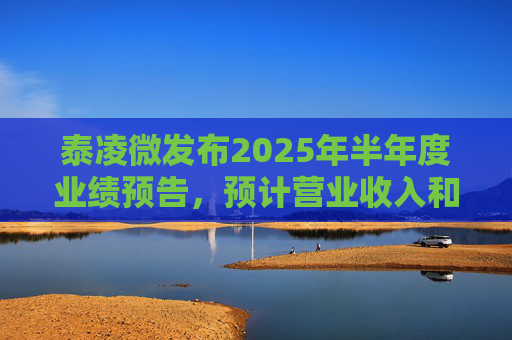 泰凌微发布2025年半年度业绩预告，预计营业收入和净利润将分别同比增长37%和267%