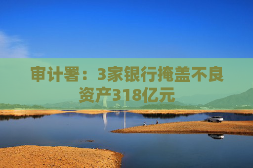 审计署：3家银行掩盖不良资产318亿元