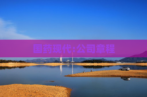 国药现代:公司章程