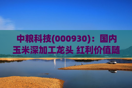 中粮科技(000930)：国内玉米深加工龙头 红利价值随业绩改善凸显