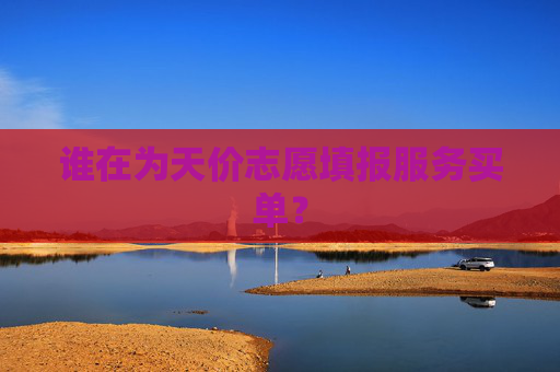 谁在为天价志愿填报服务买单？