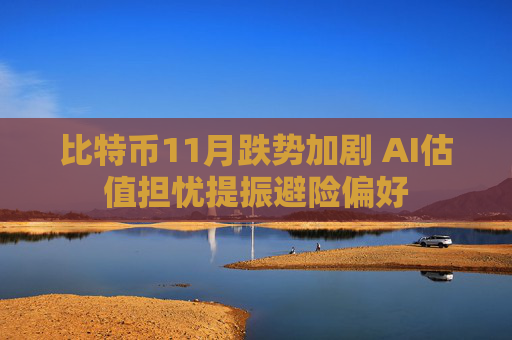比特币11月跌势加剧 AI估值担忧提振避险偏好  第1张