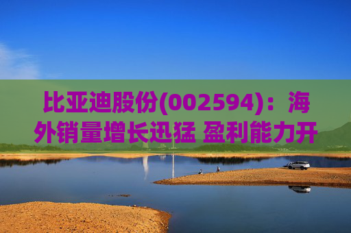 比亚迪股份(002594)：海外销量增长迅猛 盈利能力开始改善