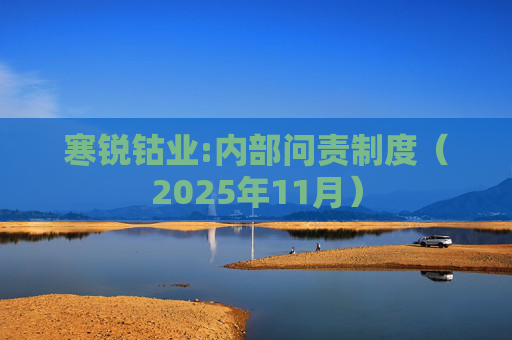 寒锐钴业:内部问责制度（2025年11月）