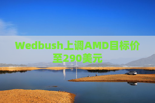 Wedbush上调AMD目标价至290美元  第1张