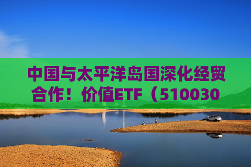 中国与太平洋岛国深化经贸合作！价值ETF（510030）涨0.55%！