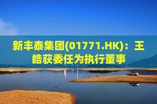 新丰泰集团(01771.HK)：王皓获委任为执行董事