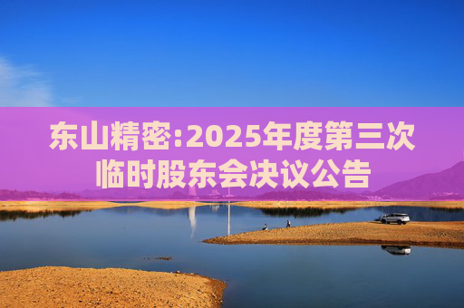 东山精密:2025年度第三次临时股东会决议公告