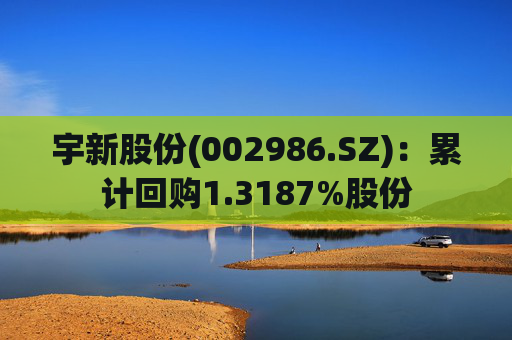 宇新股份(002986.SZ)：累计回购1.3187%股份